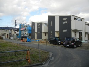 DSCN8512